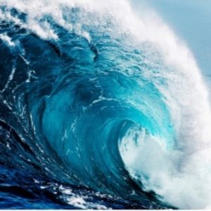 Meet your Posher, Sienna